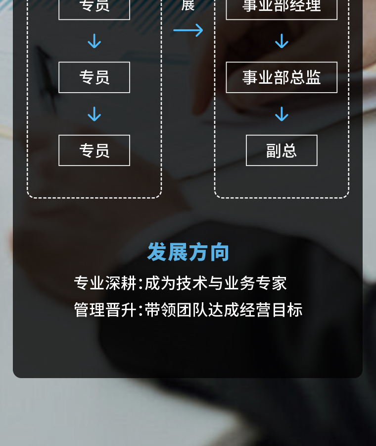 HOBIBEAR 官网展示图（手机端）